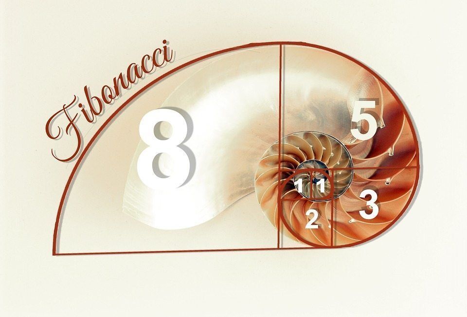 proporcion aurea