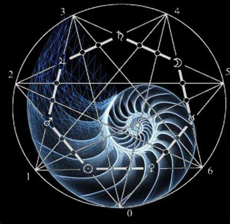 Sucesión de Fibonacci representada en la naturaleza